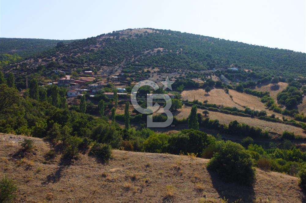 Çanakkale Ayvacık Pırnardere 9972m² Projelik Satılık İmarlı Arsa