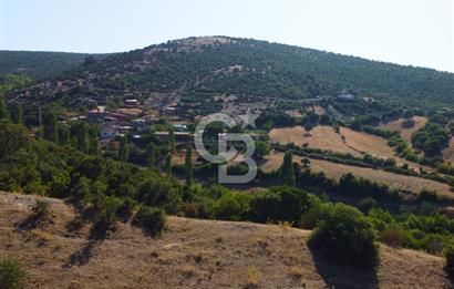 Çanakkale Ayvacık Pırnardere 9972m² Projelik Satılık İmarlı Arsa