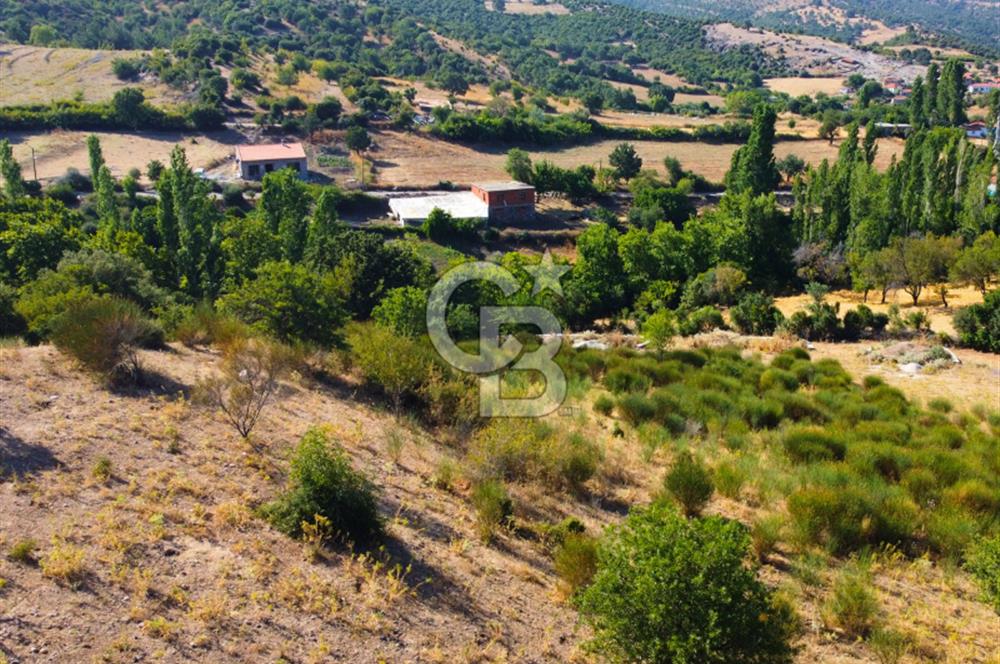 Çanakkale Ayvacık Pırnardere 9972m² Projelik Satılık İmarlı Arsa