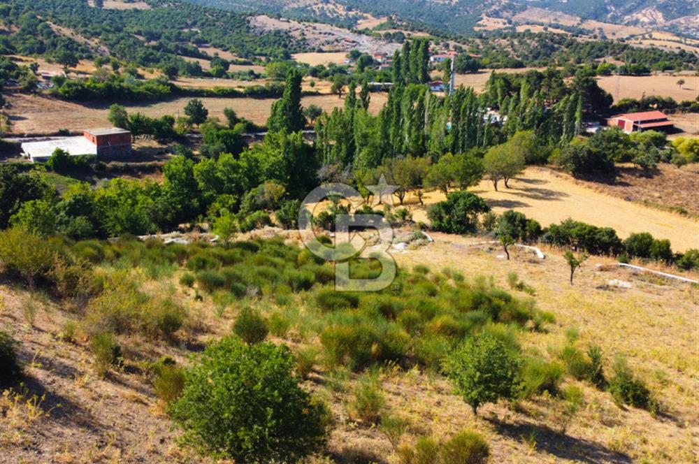 Çanakkale Ayvacık Pırnardere 9972m² Projelik Satılık İmarlı Arsa