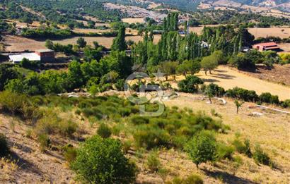 Çanakkale Ayvacık Pırnardere 9972m² Projelik Satılık İmarlı Arsa