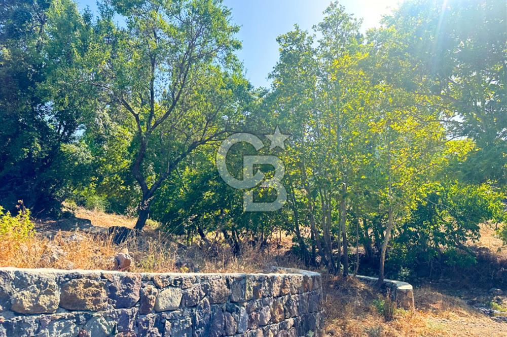 Çanakkale Ayvacık Pırnardere 9972m² Projelik Satılık İmarlı Arsa