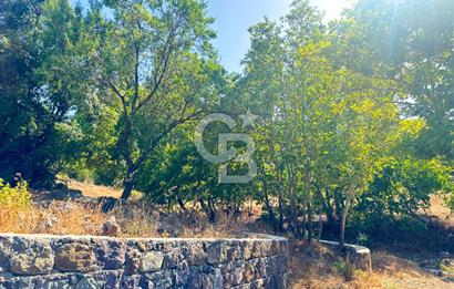 Çanakkale Ayvacık Pırnardere 9972m² Projelik Satılık İmarlı Arsa