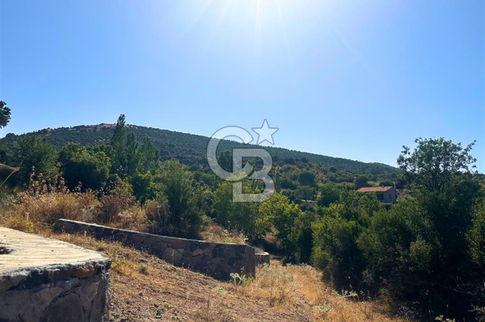 Çanakkale Ayvacık Pırnardere 9972m² Projelik Satılık İmarlı Arsa