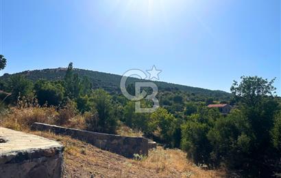 Çanakkale Ayvacık Pırnardere 9972m² Projelik Satılık İmarlı Arsa