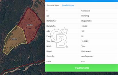 Çanakkale Bayramiç Dağahmetçe Köyü Satılık Tarlalar