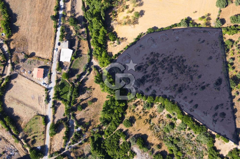 Çanakkale Ayvacık Pırnardere 9972m² Projelik Satılık İmarlı Arsa