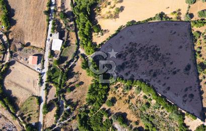 Çanakkale Ayvacık Pırnardere 9972m² Projelik Satılık İmarlı Arsa