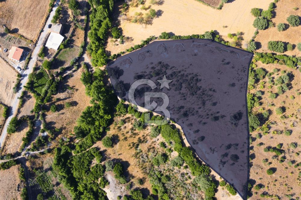 Çanakkale Ayvacık Pırnardere 9972m² Projelik Satılık İmarlı Arsa