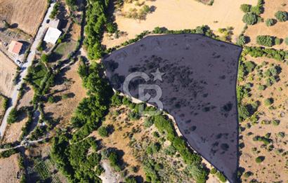 Çanakkale Ayvacık Pırnardere 9972m² Projelik Satılık İmarlı Arsa