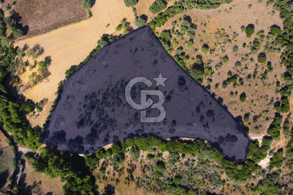 Çanakkale Ayvacık Pırnardere 9972m² Projelik Satılık İmarlı Arsa