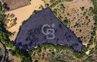 Çanakkale Ayvacık Pırnardere 9972m² Projelik Satılık İmarlı Arsa