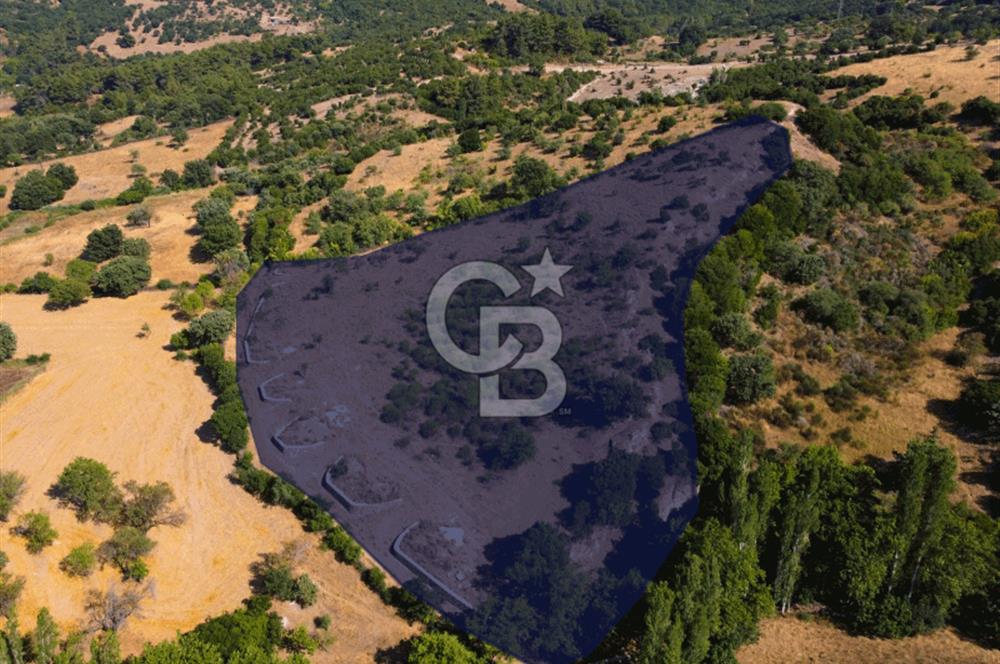 Çanakkale Ayvacık Pırnardere 9972m² Projelik Satılık İmarlı Arsa