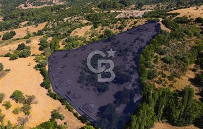 Çanakkale Ayvacık Pırnardere 9972m² Projelik Satılık İmarlı Arsa