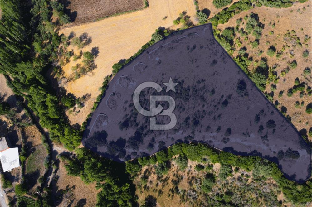 Çanakkale Ayvacık Pırnardere 9972m² Projelik Satılık İmarlı Arsa