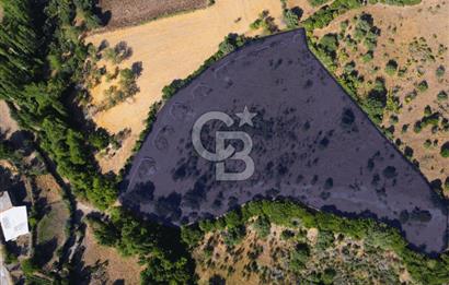 Çanakkale Ayvacık Pırnardere 9972m² Projelik Satılık İmarlı Arsa