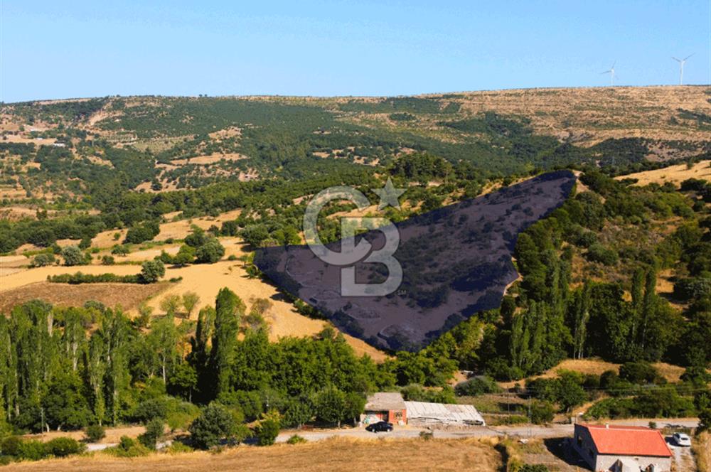 Çanakkale Ayvacık Pırnardere 9972m² Projelik Satılık İmarlı Arsa