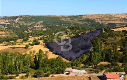 Çanakkale Ayvacık Pırnardere 9972m² Projelik Satılık İmarlı Arsa