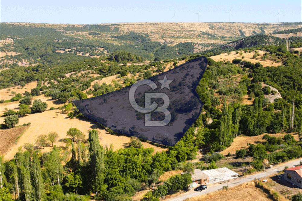 Çanakkale Ayvacık Pırnardere 9972m² Projelik Satılık İmarlı Arsa