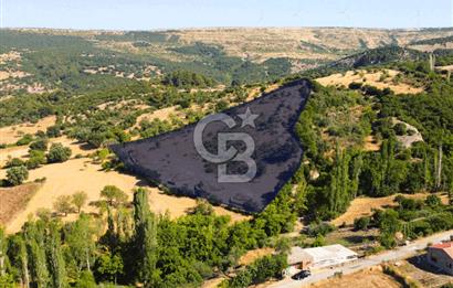 Çanakkale Ayvacık Pırnardere 9972m² Projelik Satılık İmarlı Arsa