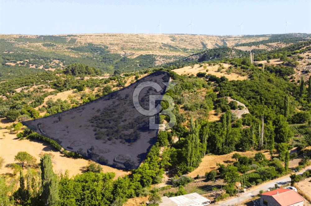 Çanakkale Ayvacık Pırnardere 9972m² Projelik Satılık İmarlı Arsa