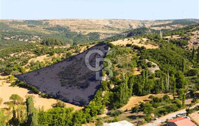 Çanakkale Ayvacık Pırnardere 9972m² Projelik Satılık İmarlı Arsa