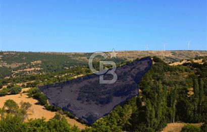 Çanakkale Ayvacık Pırnardere 9972m² Projelik Satılık İmarlı Arsa