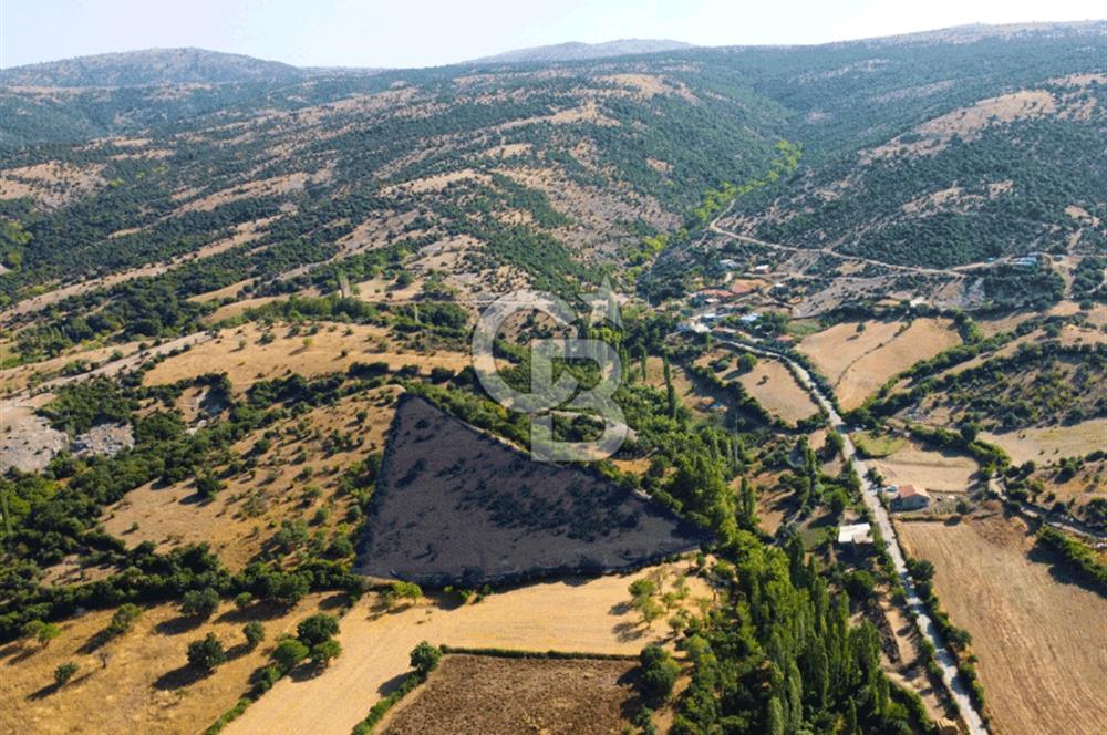 Çanakkale Ayvacık Pırnardere 9972m² Projelik Satılık İmarlı Arsa