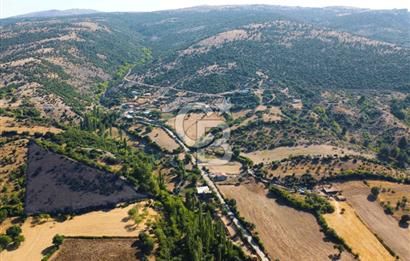 Çanakkale Ayvacık Pırnardere 9972m² Projelik Satılık İmarlı Arsa