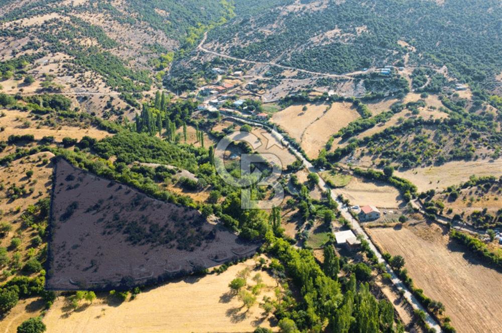 Çanakkale Ayvacık Pırnardere 9972m² Projelik Satılık İmarlı Arsa