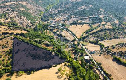 Çanakkale Ayvacık Pırnardere 9972m² Projelik Satılık İmarlı Arsa