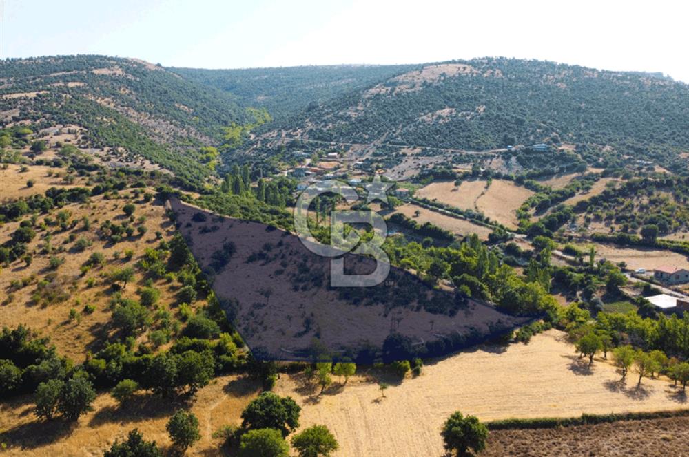 Çanakkale Ayvacık Pırnardere 9972m² Projelik Satılık İmarlı Arsa