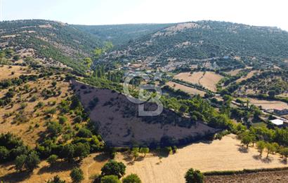 Çanakkale Ayvacık Pırnardere 9972m² Projelik Satılık İmarlı Arsa