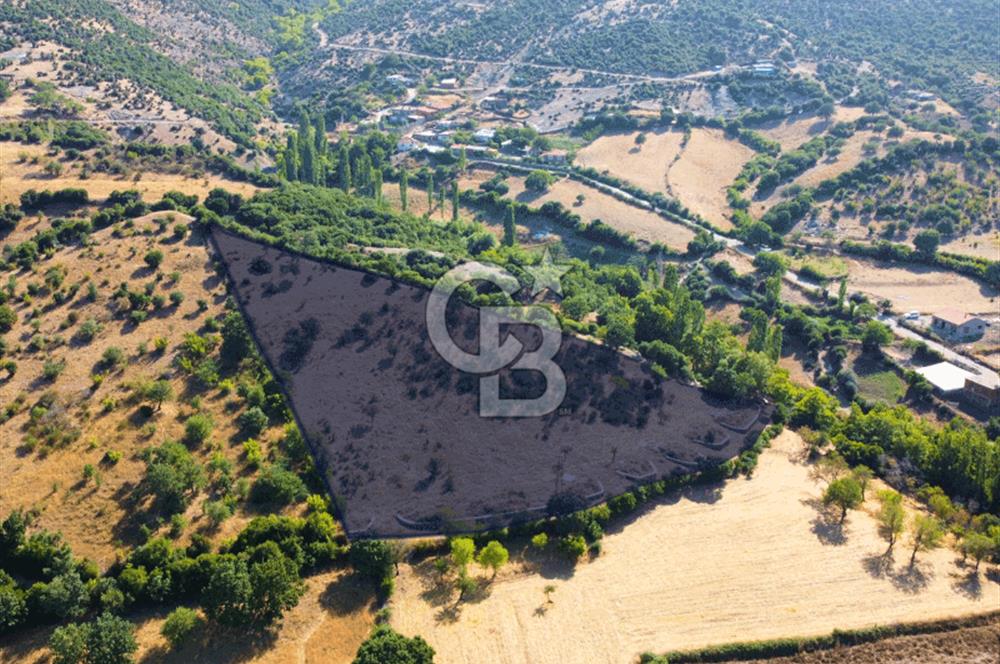 Çanakkale Ayvacık Pırnardere 9972m² Projelik Satılık İmarlı Arsa