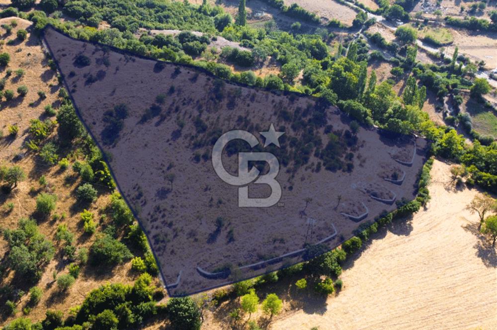 Çanakkale Ayvacık Pırnardere 9972m² Projelik Satılık İmarlı Arsa