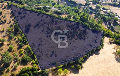 Çanakkale Ayvacık Pırnardere 9972m² Projelik Satılık İmarlı Arsa