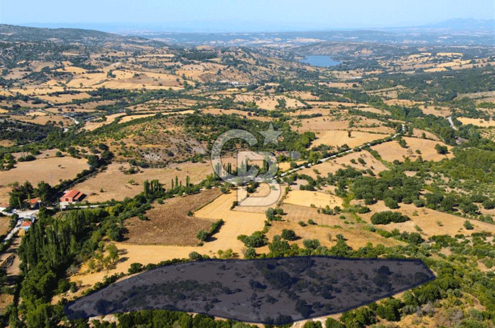 Çanakkale Ayvacık Pırnardere 9972m² Projelik Satılık İmarlı Arsa