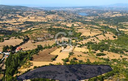 Çanakkale Ayvacık Pırnardere 9972m² Projelik Satılık İmarlı Arsa