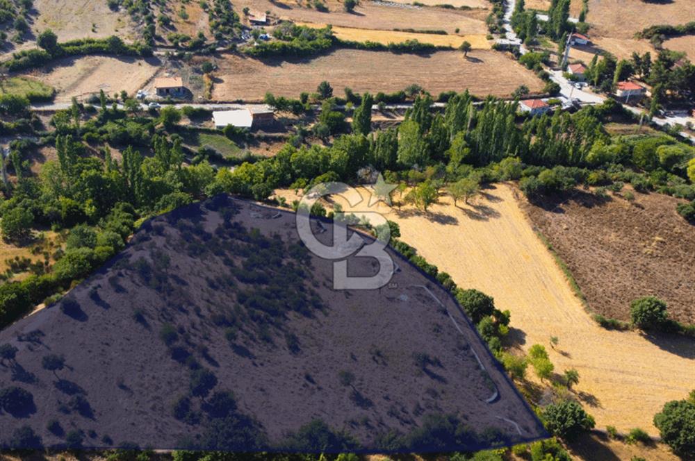 Çanakkale Ayvacık Pırnardere 9972m² Projelik Satılık İmarlı Arsa