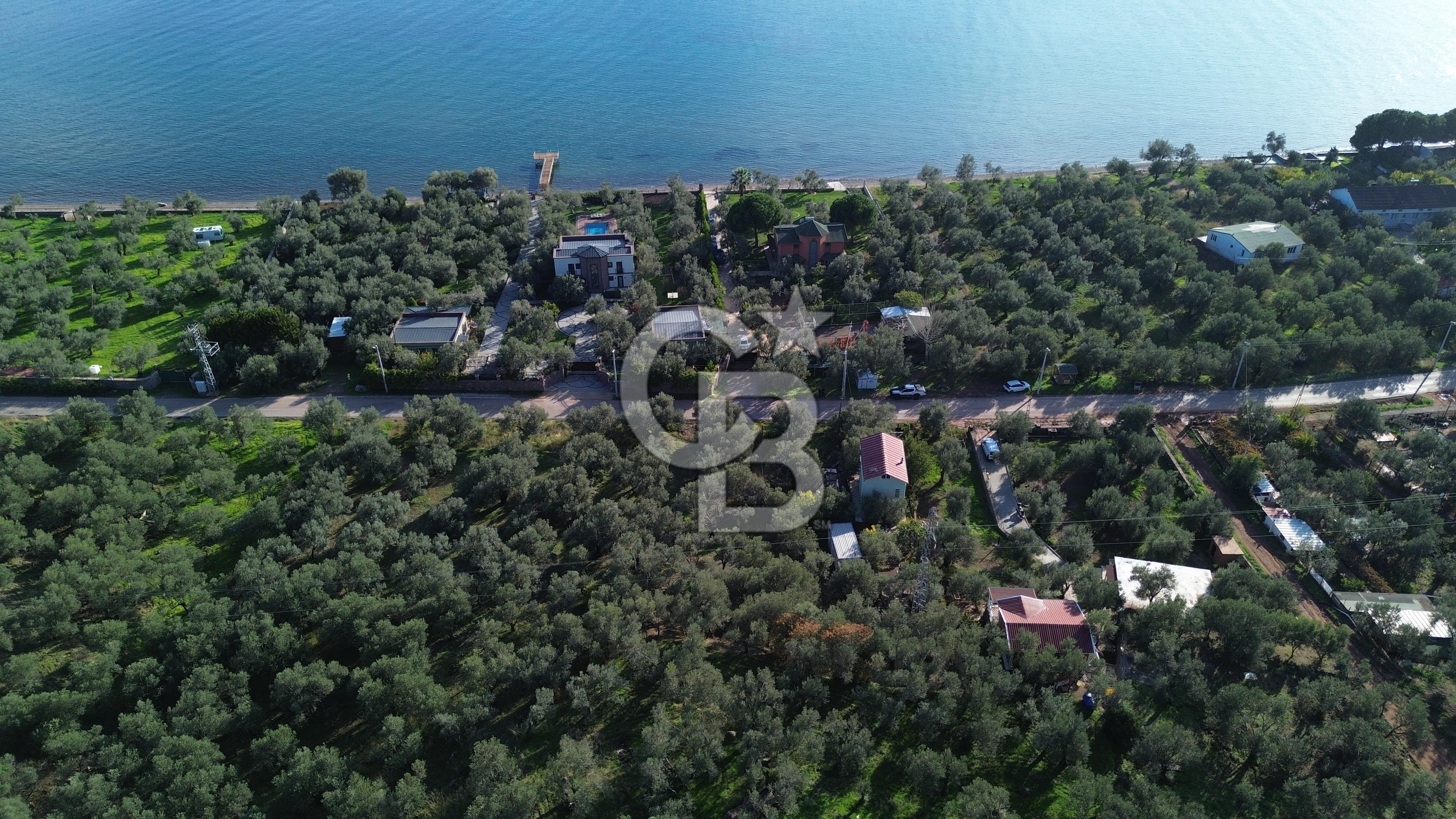 Çanakkale Ayvacık Ahmetçe Köyü 537 Metre Satılık Zeytinlik