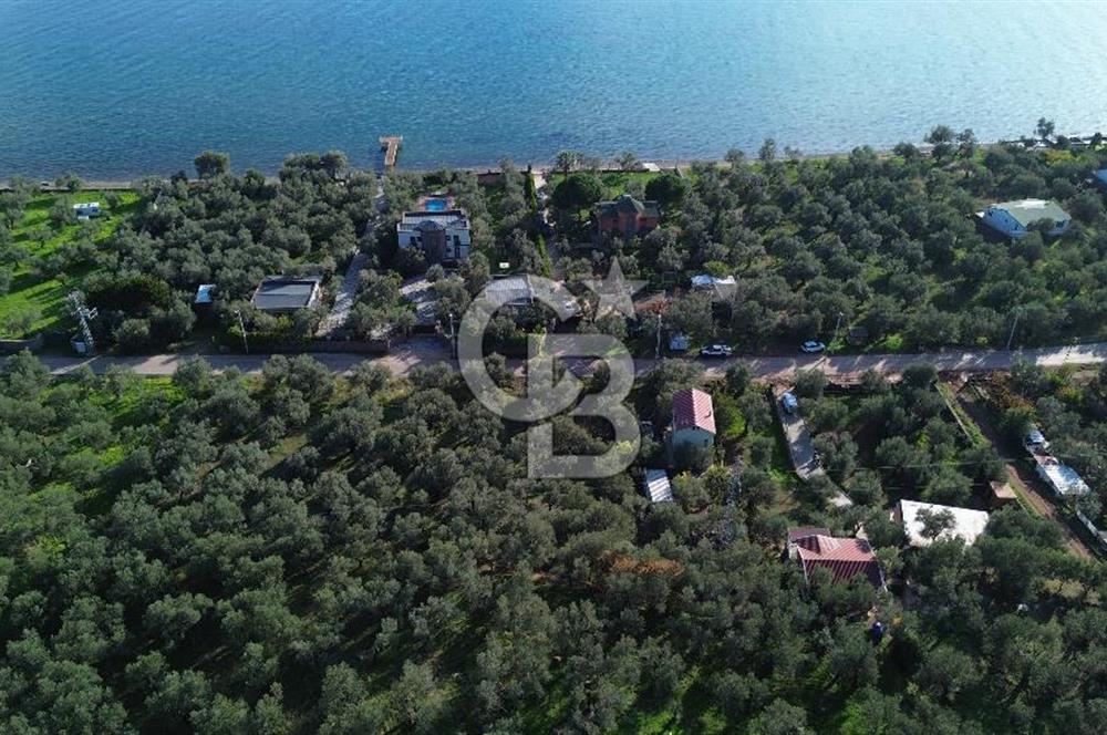 Çanakkale Ayvacık Ahmetçe Köyü 537 Metre Satılık Zeytinlik