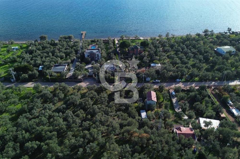 Çanakkale Ayvacık Ahmetçe Köyü 537 Metre Satılık Zeytinlik
