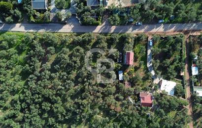 Çanakkale Ayvacık Ahmetçe Köyü 537 Metre Satılık Zeytinlik