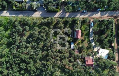 Çanakkale Ayvacık Ahmetçe Köyü 537 Metre Satılık Zeytinlik