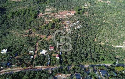 Çanakkale Ayvacık Ahmetçe Köyü 537 Metre Satılık Zeytinlik