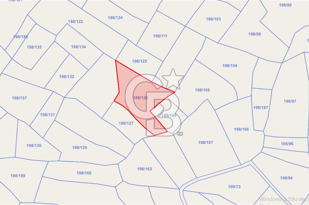 ACİL! TEKİRDAĞ ŞARKÖY HOŞKÖYDE 3484 m² ZEYTİN BAHÇESİ