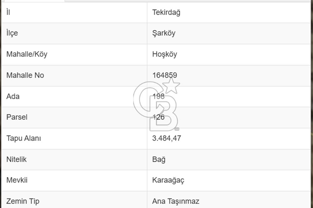 ACİL! TEKİRDAĞ ŞARKÖY HOŞKÖYDE 3484 m² ZEYTİN BAHÇESİ