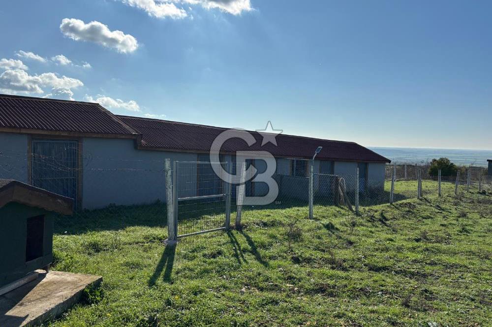 KIRKLARELİ VİZE EVRENLİ' DE 12.500 M² EŞSİZ BİR ÇİFTLİK FIRSATI
