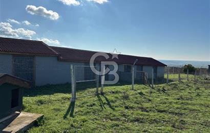 KIRKLARELİ VİZE EVRENLİ' DE 12.500 M² EŞSİZ BİR ÇİFTLİK FIRSATI