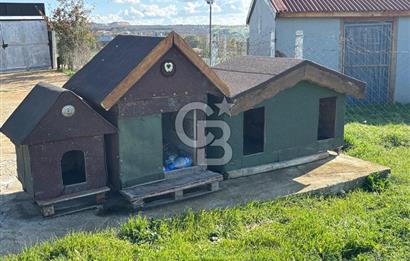 KIRKLARELİ VİZE EVRENLİ' DE 12.500 M² EŞSİZ BİR ÇİFTLİK FIRSATI